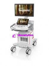 Acuson Sequoia Ultrasound