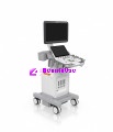 Acuson Maple Ultrasound New