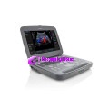 Acuson P500 Ultrasound New